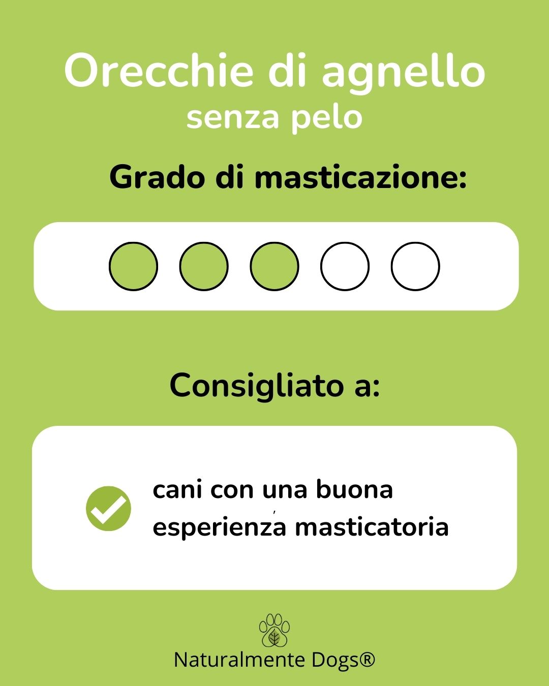 Orecchie agnello senza pelo - immagine 2