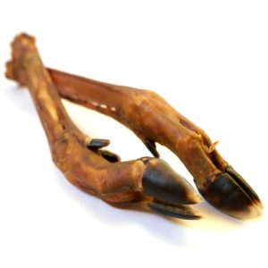 Zampa di cervo