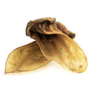 Orecchie di bovino XL